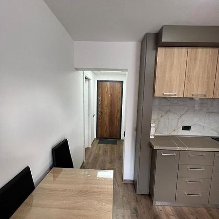 Sica Guesthouse Borşa Exteriör bild