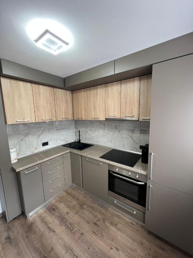 Sica Guesthouse Borşa Exteriör bild